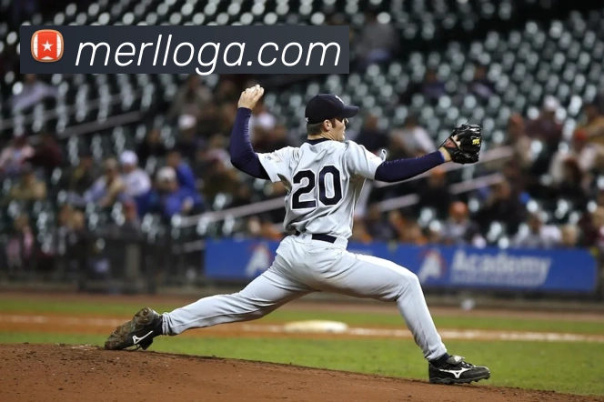 App Interface Preview